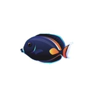 Achilles Tang